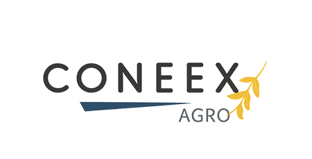 coneex